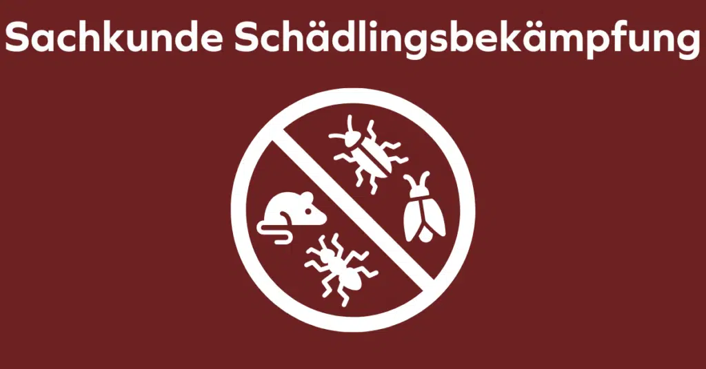 Sachkundenachweis Schädlingsbekämpfung online